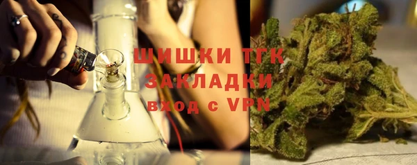 индика Приозерск