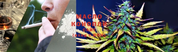 индика Приозерск