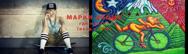 индика Приозерск