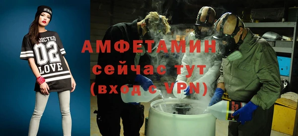 индика Приозерск