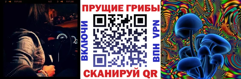 Галлюциногенные грибы прущие грибы  Рыбное 